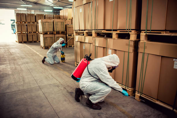 Best Local Pest Control Services  in Taylor Creek, FL