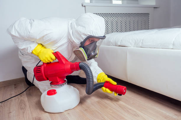 Wasp Removal Services in Taylor Creek, FL