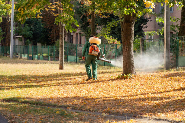 Best Mosquito Control Services  in Taylor Creek, FL