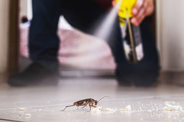 Best Best Pest Control Companies  in Taylor Creek, FL
